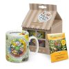 KONITZ Mug +Giftbox + Flower Seeds Knowledge Gemusegarten(German) Mugs Of Knowledge