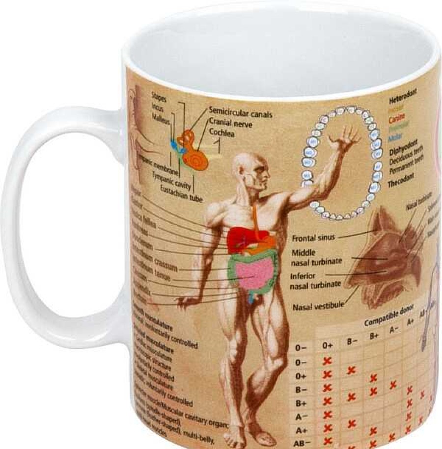 KONITZ Mug Medicine Mugs Of Knowledge