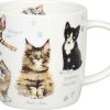 KONITZ Mug Natures Diversity - Kitten Animals