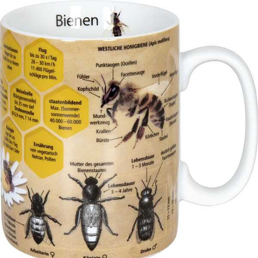 KONITZ Knowledge Mug Biene (German) Mugs Of Knowledge